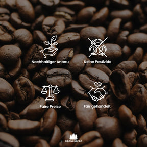 PHIL Bio Filter-Kaffee | Kaffeebohnen oder Pulver | 100% Arabica | Fairtrade